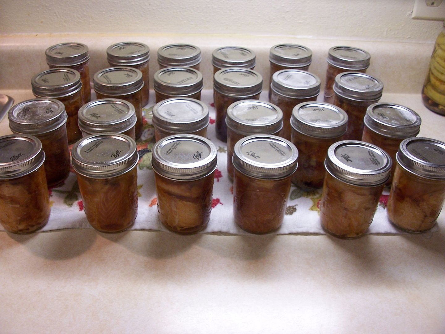 Cowgirl's Country Life Cold Smoking and Canning Salmon for the Winter